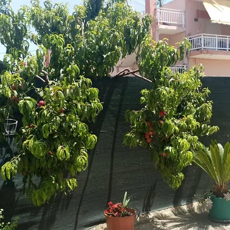Sia House בית נופש *