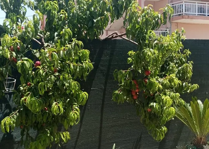 Sia House Сasa de vacaciones *